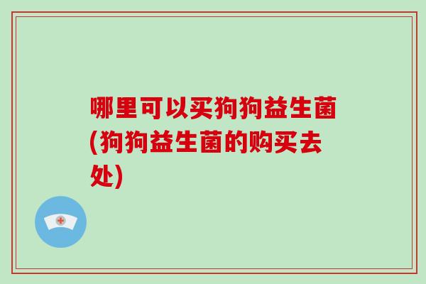哪里可以买狗狗益生菌(狗狗益生菌的购买去处)