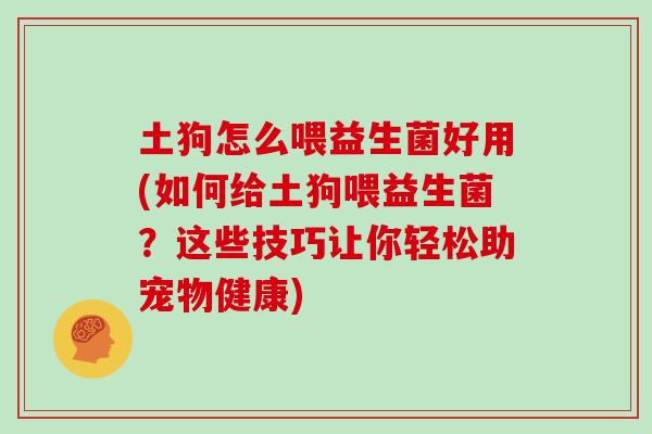 土狗怎么喂益生菌好用(如何给土狗喂益生菌？这些技巧让你轻松助宠物健康)