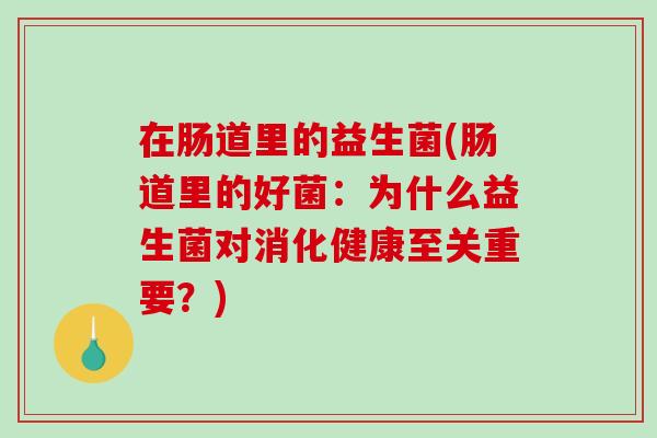 在肠道里的益生菌(肠道里的好菌：为什么益生菌对消化健康至关重要？)