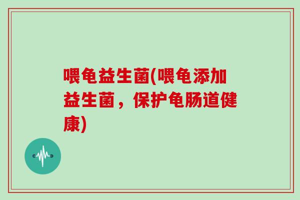 喂龟益生菌(喂龟添加益生菌，保护龟肠道健康)
