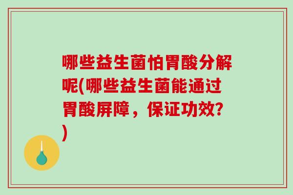 哪些益生菌怕胃酸分解呢(哪些益生菌能通过胃酸屏障，保证功效？)