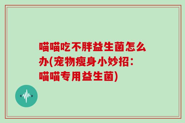 喵喵吃不胖益生菌怎么办(宠物瘦身小妙招：喵喵专用益生菌)