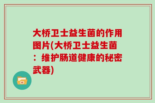 大桥卫士益生菌的作用图片(大桥卫士益生菌：维护肠道健康的秘密武器)