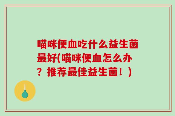 喵咪便血吃什么益生菌最好(喵咪便血怎么办？推荐最佳益生菌！)