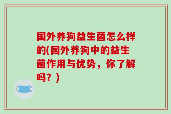 国外养狗益生菌怎么样的(国外养狗中的益生菌作用与优势，你了解吗？)