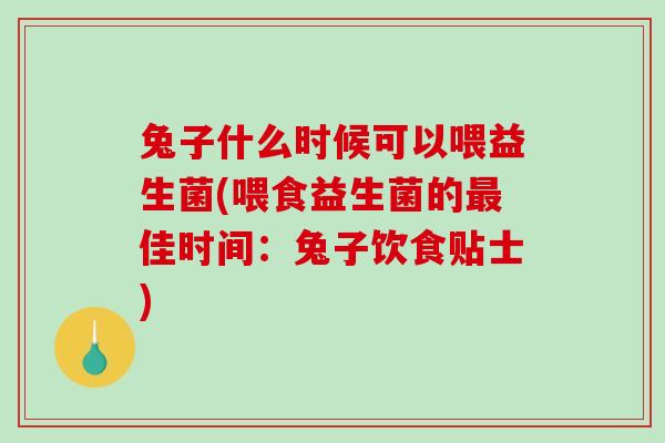 兔子什么时候可以喂益生菌(喂食益生菌的最佳时间：兔子饮食贴士)