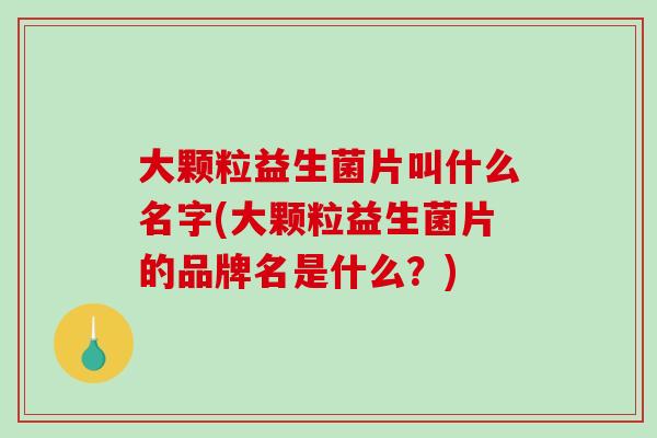 大颗粒益生菌片叫什么名字(大颗粒益生菌片的品牌名是什么？)