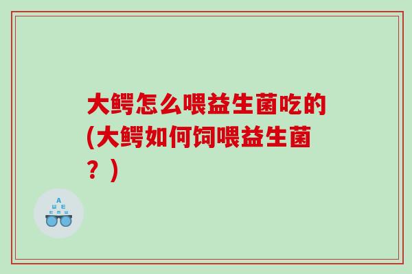 大鳄怎么喂益生菌吃的(大鳄如何饲喂益生菌？)