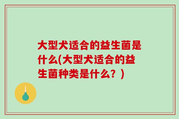 大型犬适合的益生菌是什么(大型犬适合的益生菌种类是什么?) 大型犬适合的益生菌是什么(大型犬适合的益生菌种类是什么?)