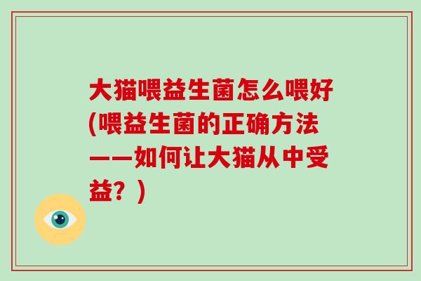 大猫喂益生菌怎么喂好(喂益生菌的正确方法——如何让大猫从中受益？)