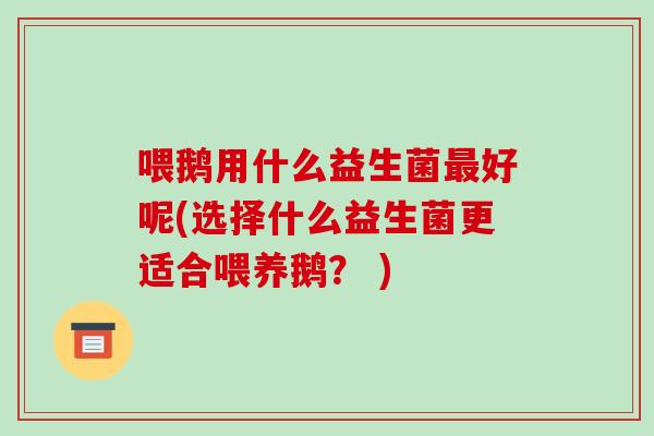 喂鹅用什么益生菌最好呢(选择什么益生菌更适合喂养鹅？ )