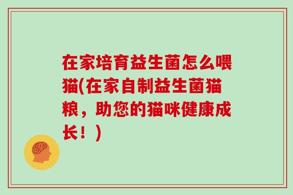 在家培育益生菌怎么喂猫(在家自制益生菌猫粮，助您的猫咪健康成长！)
