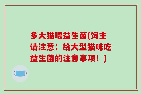 多大猫喂益生菌(饲主请注意：给大型猫咪吃益生菌的注意事项！)