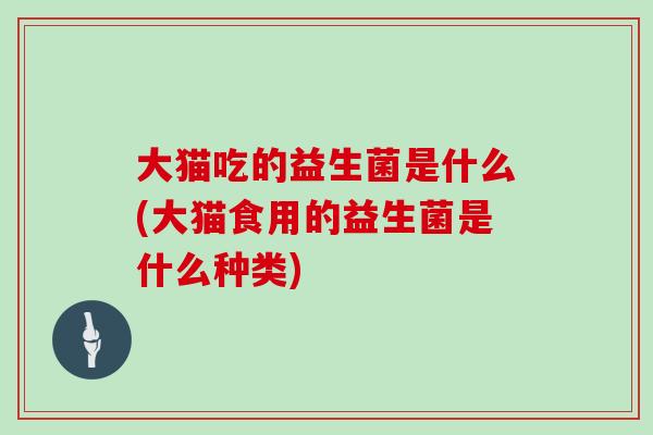 大猫吃的益生菌是什么(大猫食用的益生菌是什么种类)