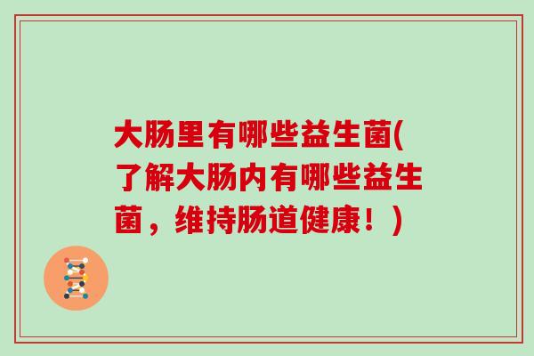 大肠里有哪些益生菌(了解大肠内有哪些益生菌，维持肠道健康！)