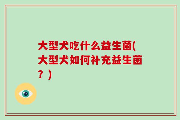 大型犬吃什么益生菌(大型犬如何补充益生菌？)