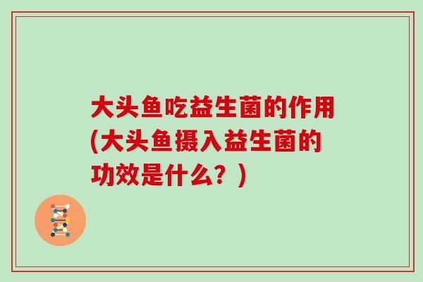 大头鱼吃益生菌的作用(大头鱼摄入益生菌的功效是什么?) 大头鱼吃益生菌的作用(大头鱼摄入益生菌的功效是什么?)