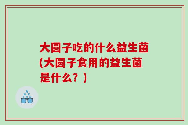 大圆子吃的什么益生菌(大圆子食用的益生菌是什么？)