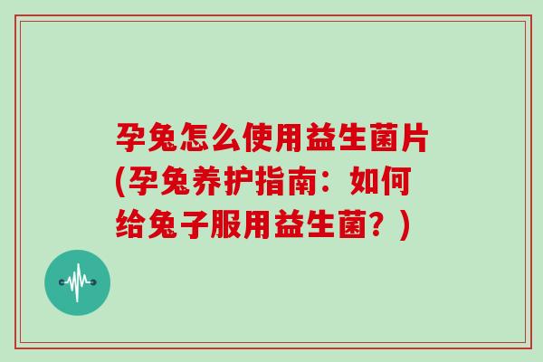 孕兔怎么使用益生菌片(孕兔养护指南：如何给兔子服用益生菌？)
