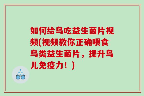 如何给鸟吃益生菌片视频(视频教你正确喂食鸟类益生菌片，提升鸟儿免疫力！)