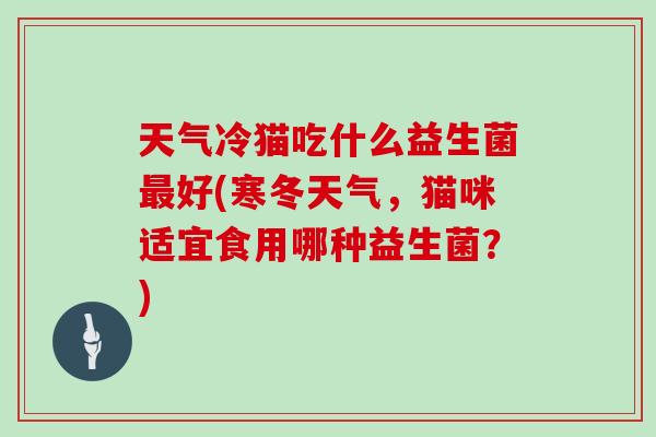 天气冷猫吃什么益生菌最好(寒冬天气，猫咪适宜食用哪种益生菌？)