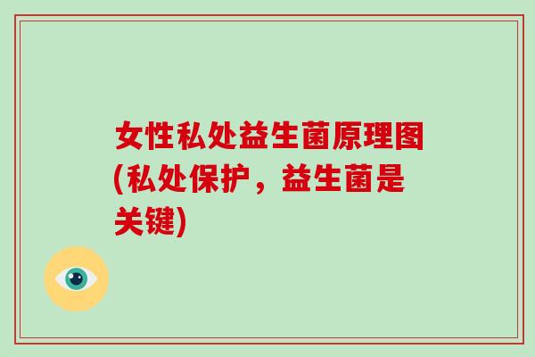 女性私处益生菌原理图(私处保护，益生菌是关键)