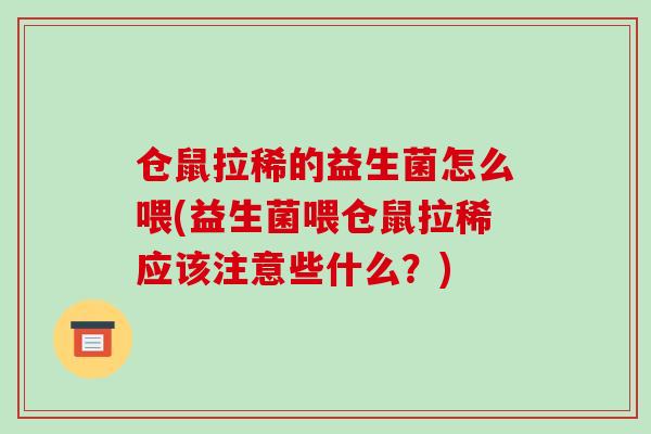 仓鼠拉稀的益生菌怎么喂(益生菌喂仓鼠拉稀应该注意些什么？)
