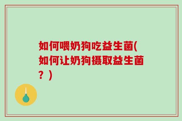 如何喂奶狗吃益生菌(如何让奶狗摄取益生菌？)