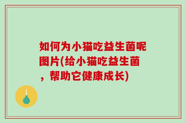 如何为小猫吃益生菌呢图片(给小猫吃益生菌，帮助它健康成长)