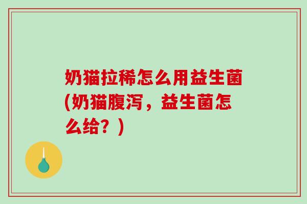 奶猫拉稀怎么用益生菌(奶猫腹泻，益生菌怎么给？)