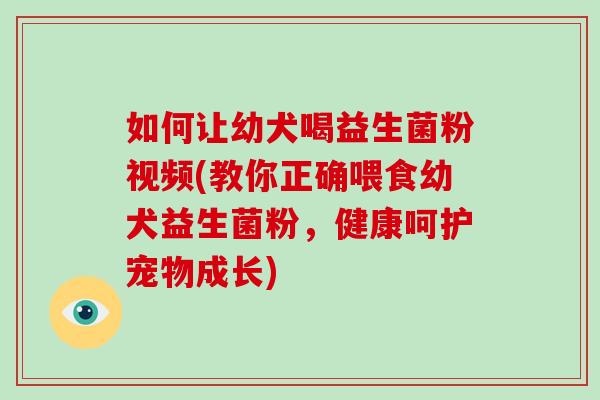 如何让幼犬喝益生菌粉视频(教你正确喂食幼犬益生菌粉，健康呵护宠物成长)