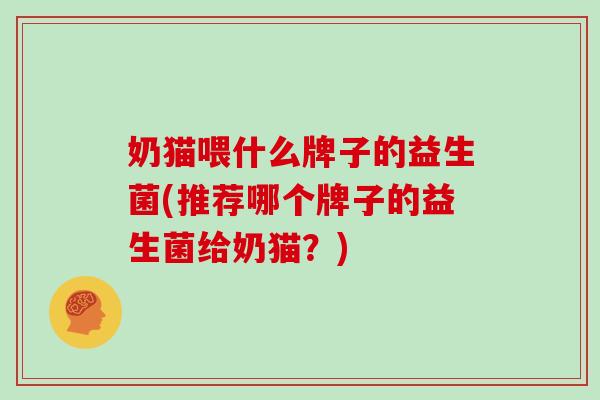 奶猫喂什么牌子的益生菌(推荐哪个牌子的益生菌给奶猫？)