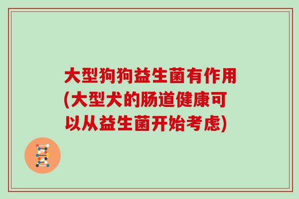大型狗狗益生菌有作用(大型犬的肠道健康可以从益生菌开始考虑)