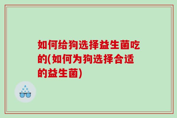 如何给狗选择益生菌吃的(如何为狗选择合适的益生菌)