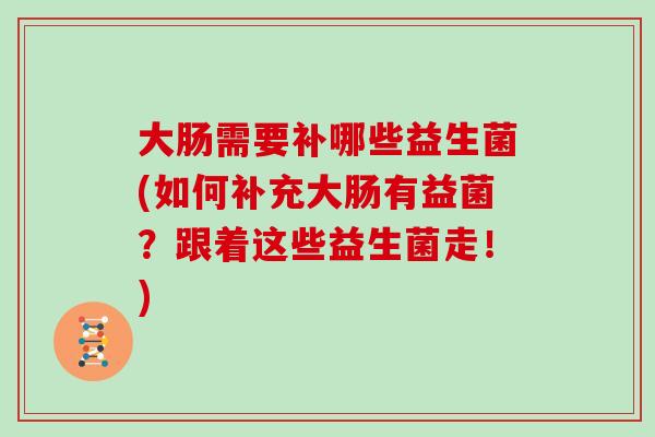 大肠需要补哪些益生菌(如何补充大肠有益菌？跟着这些益生菌走！)