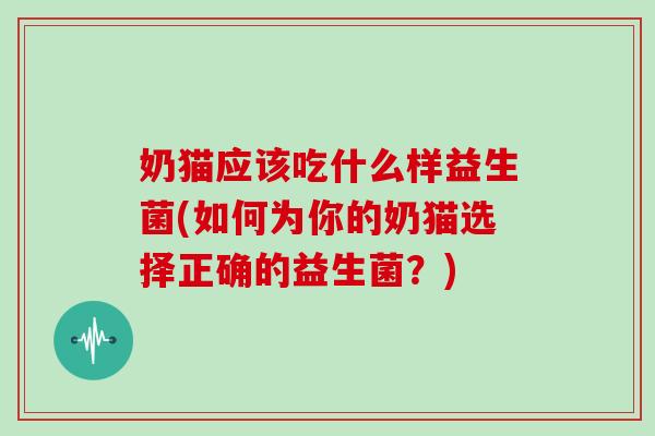 奶猫应该吃什么样益生菌(如何为你的奶猫选择正确的益生菌？)