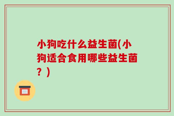 小狗吃什么益生菌(小狗适合食用哪些益生菌?) 小狗吃什么益生菌(小狗适合食用哪些益生菌?)