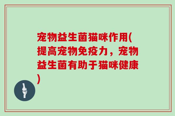 宠物益生菌猫咪作用(提高宠物免疫力，宠物益生菌有助于猫咪健康)