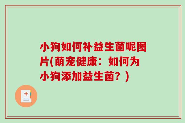 小狗如何补益生菌呢图片(萌宠健康：如何为小狗添加益生菌？)