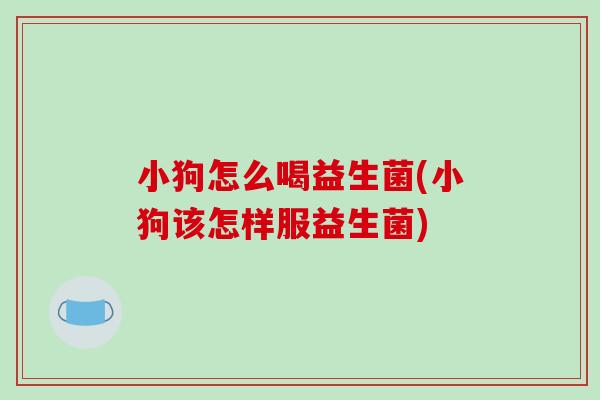 小狗怎么喝益生菌(小狗该怎样服益生菌) 小狗怎么喝益生菌(小狗该怎样服益生菌)