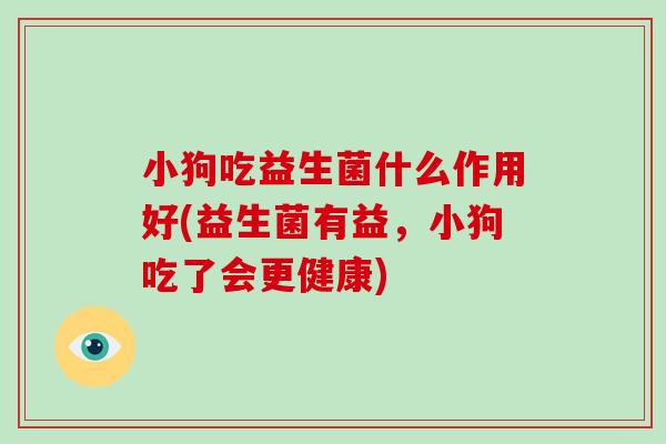 小狗吃益生菌什么作用好(益生菌有益，小狗吃了会更健康)