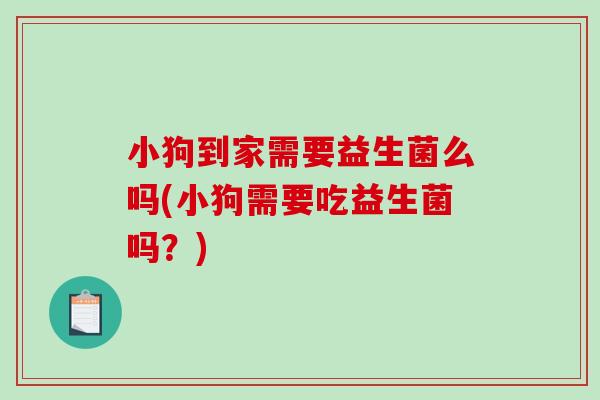 小狗到家需要益生菌么吗(小狗需要吃益生菌吗?) 小狗到家需要益生菌么吗(小狗需要吃益生菌吗?)
