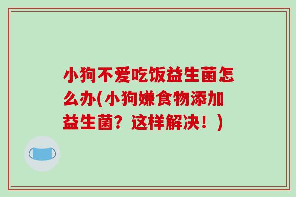 小狗不爱吃饭益生菌怎么办(小狗嫌食物添加益生菌？这样解决！)