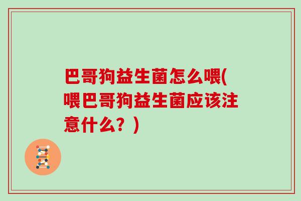 巴哥狗益生菌怎么喂(喂巴哥狗益生菌应该注意什么?) 巴哥狗益生菌怎么喂(喂巴哥狗益生菌应该注意什么?)