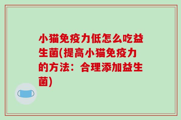 小猫免疫力低怎么吃益生菌(提高小猫免疫力的方法：合理添加益生菌)