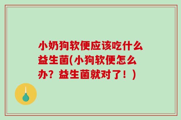 小奶狗软便应该吃什么益生菌(小狗软便怎么办？益生菌就对了！)