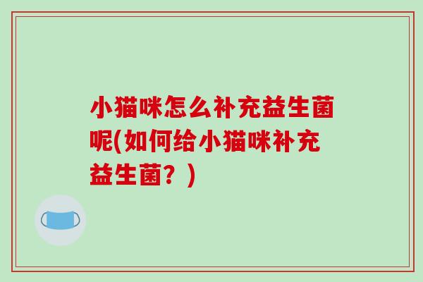 小猫咪怎么补充益生菌呢(如何给小猫咪补充益生菌？)