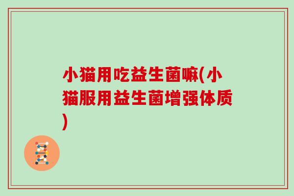 小猫用吃益生菌嘛(小猫服用益生菌增强体质)