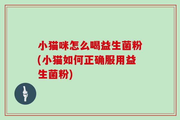 小猫咪怎么喝益生菌粉(小猫如何正确服用益生菌粉)