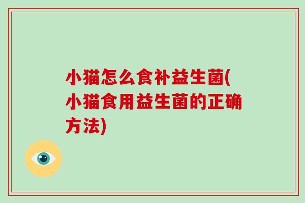 小猫怎么食补益生菌(小猫食用益生菌的正确方法)